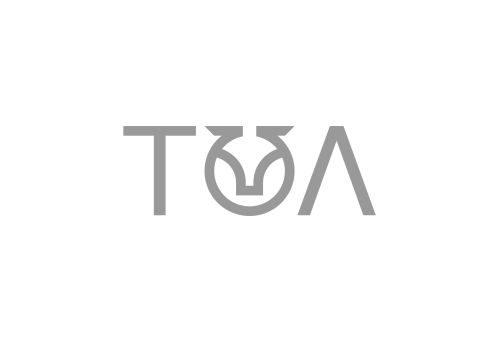 Logo TOAgency