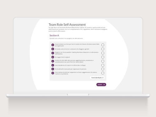 Belbin Team Roles