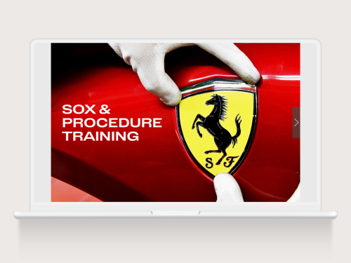 SOX e Nuove Procedure